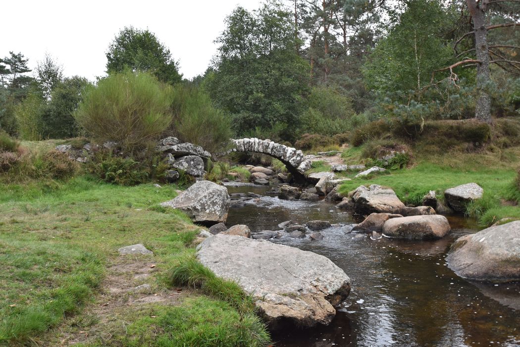 vue générale du pont dans son environnement depuis l’aval