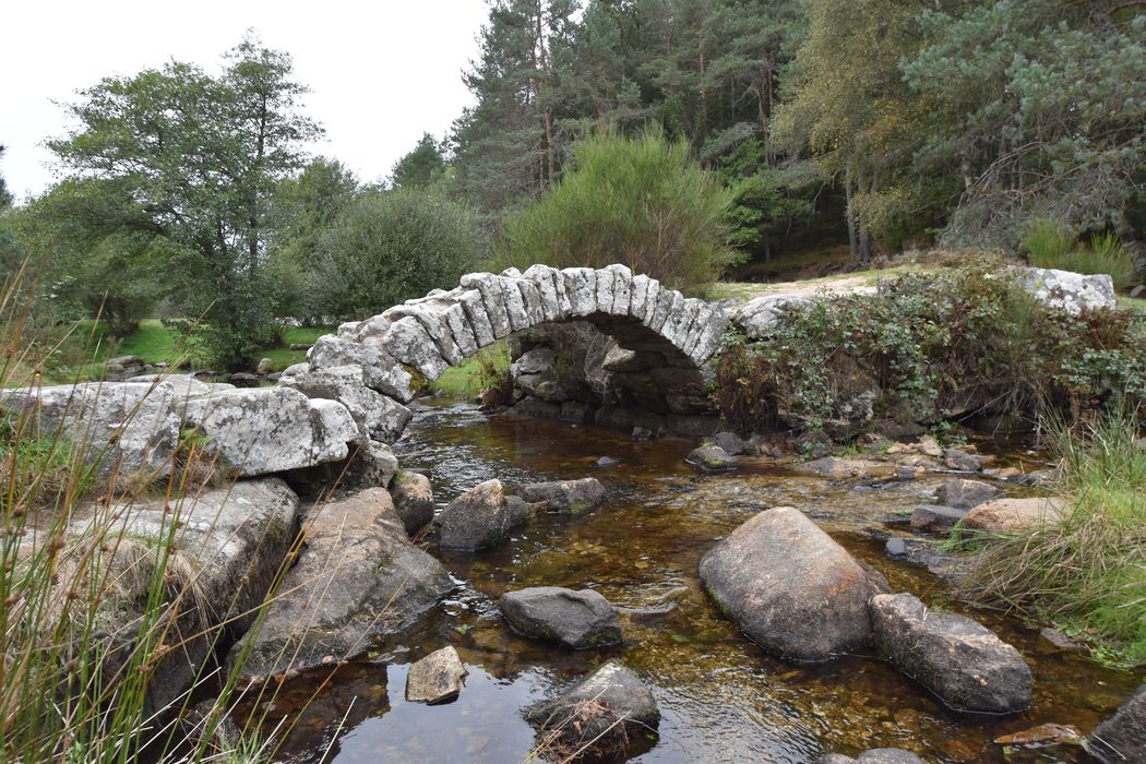 vue générale du pont dans son environnement depuis l’aval