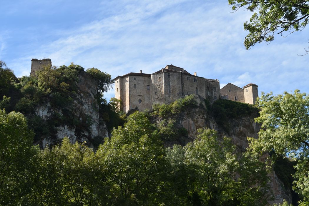 vue générale du château dans son environnement depuis l’Est