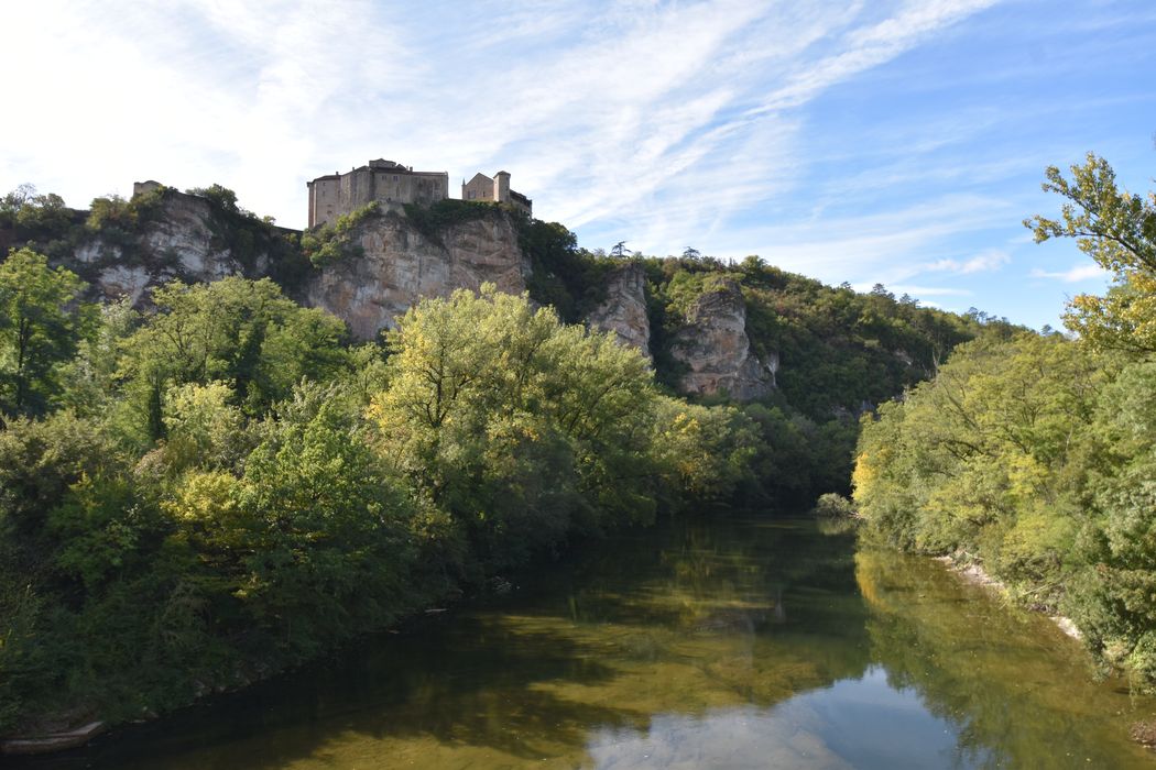 Vue générale du château dans son environnement depuis l’Est