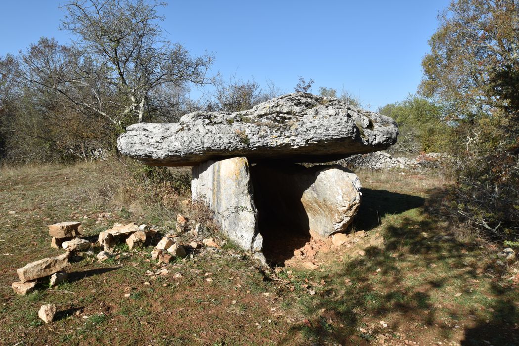 vue générale du dolmen