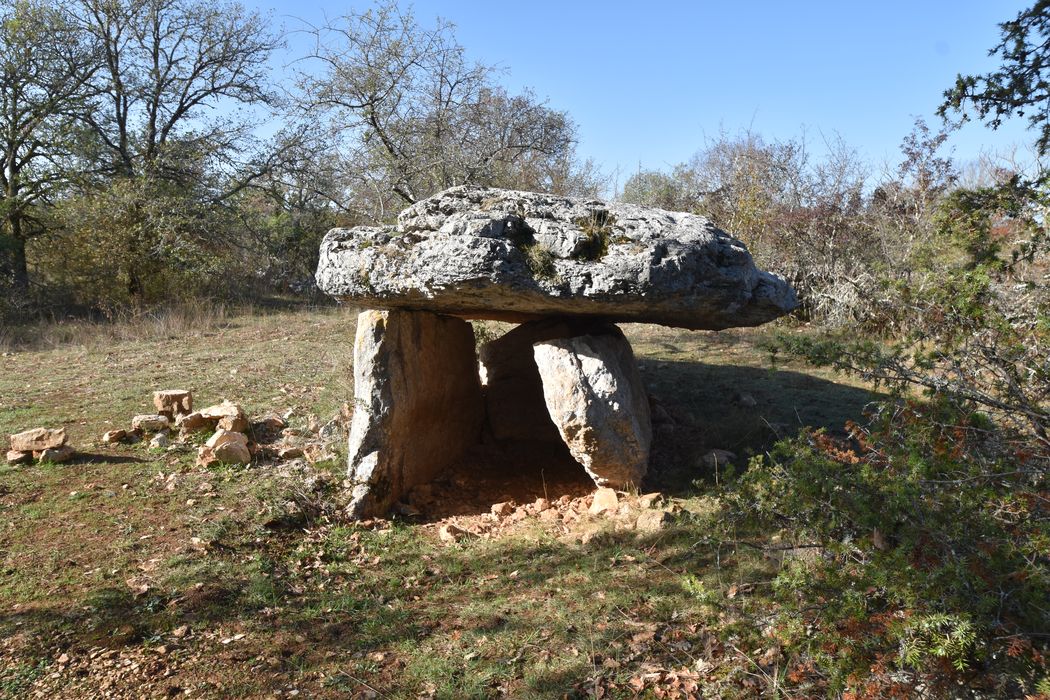 vue générale du dolmen