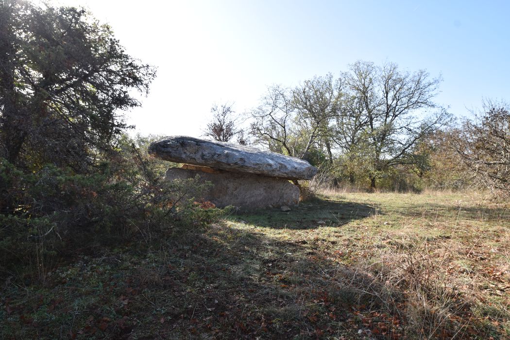 vue générale du dolmen dans son environnement