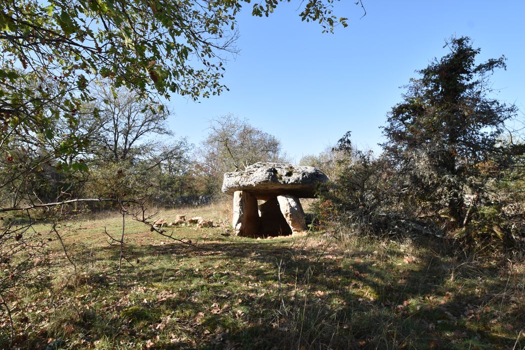 vue générale du dolmen dans son environnement
