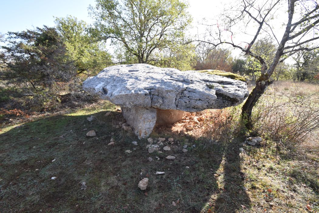vue générale du dolmen