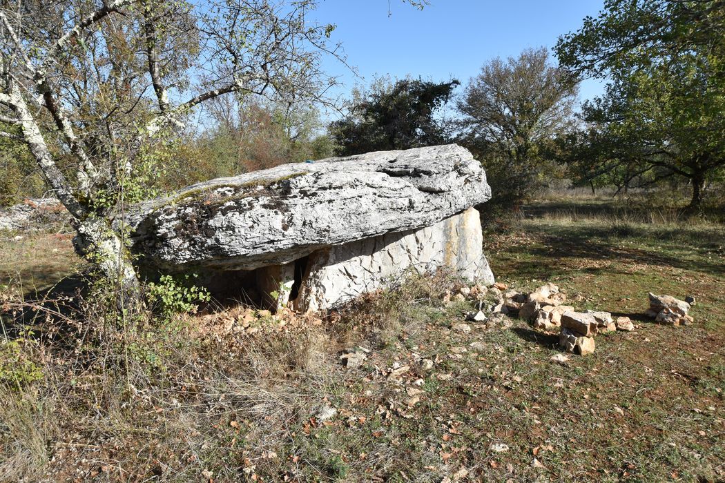 vue générale du dolmen