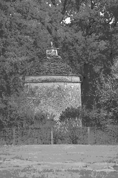 vue générale du pigeonnier