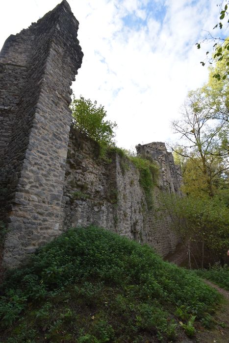 vue partielle des ruines