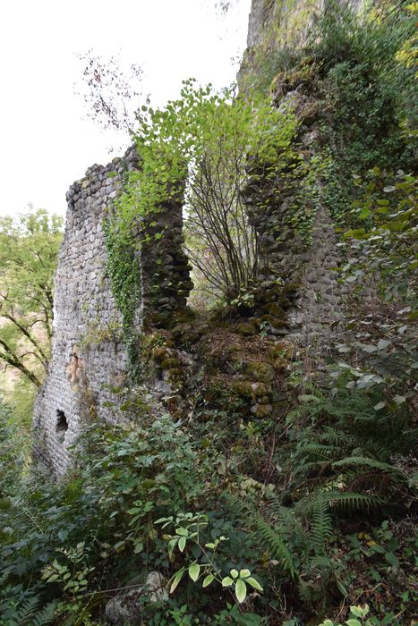 vue partielle des ruines