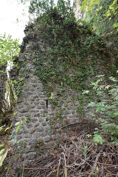 vue partielle des ruines