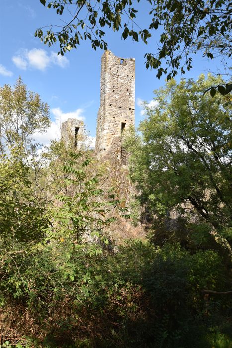 vue partielle des ruines depuis le Sud