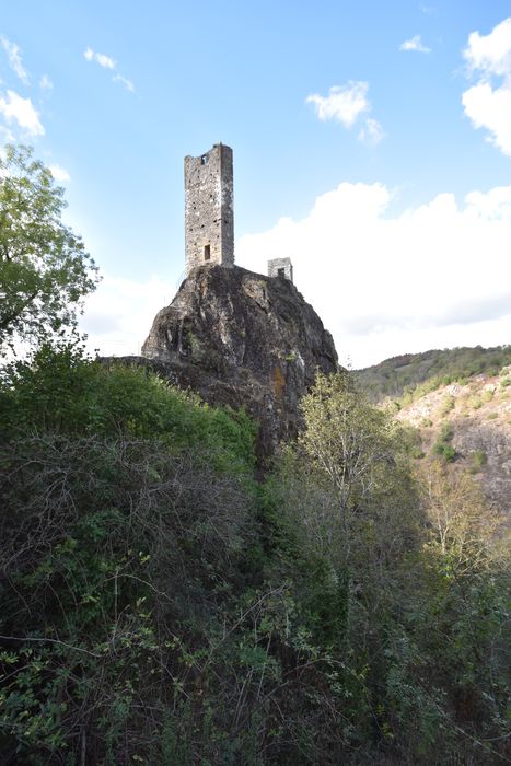 vue générale des ruines dans leur environnement depuis le Sud-Est