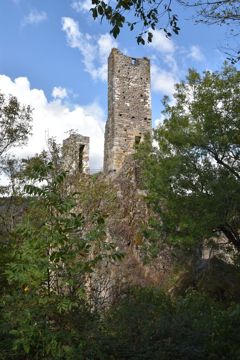 vue générale des ruines dans leur environnement depuis le Sud