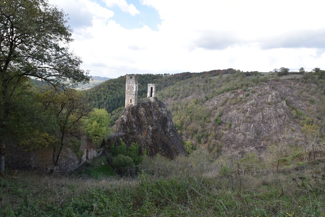 vue générale des ruines dans leur environnement depuis le Sud-Est