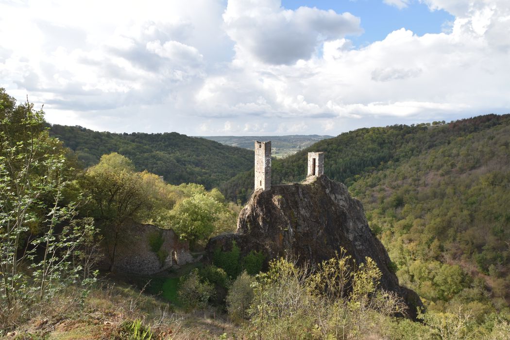 vue générale des ruines dans leur environnement depuis le Sud-Est