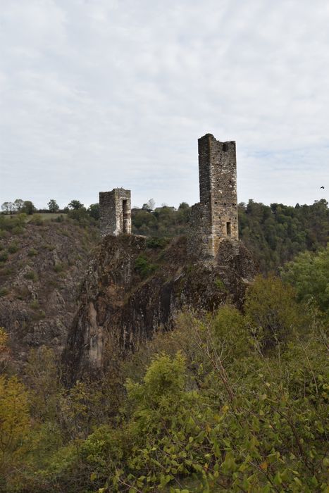 vue générale des ruines dans leur environnement depuis le Sud-Est