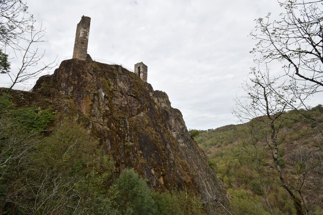 vue générale des ruines dans leur environnement depuis l’Est