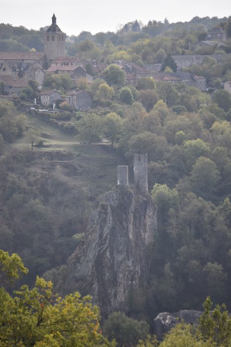 vue générale des ruines dans leur environnement depuis le Nord