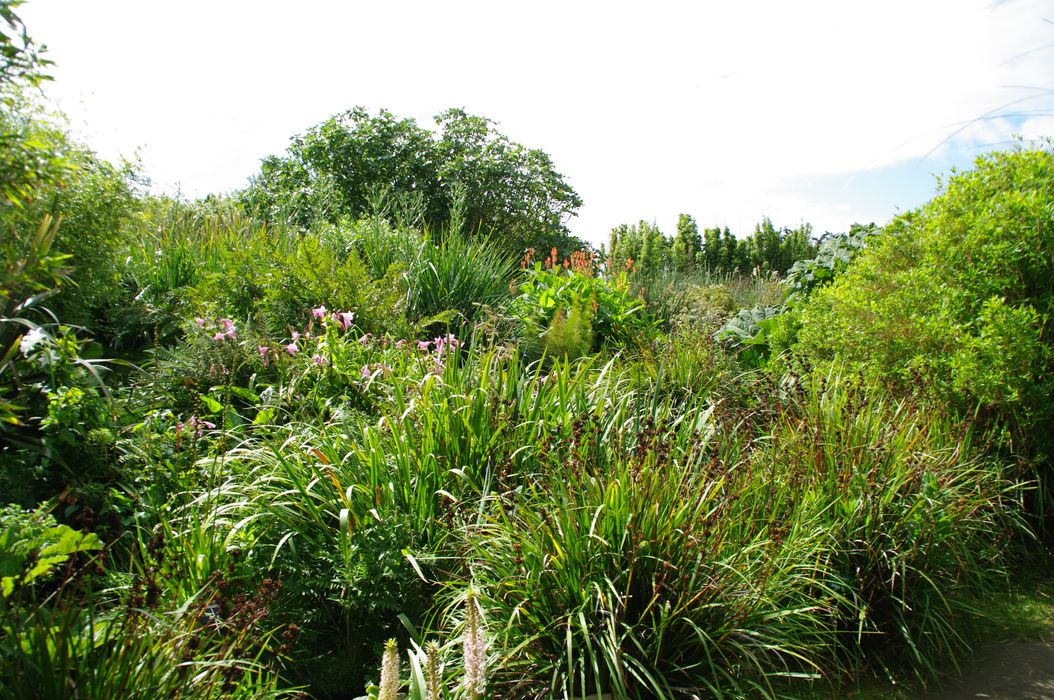 vue partielle du parc