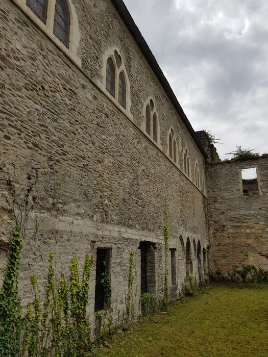 ruines des bâtiments abbatiaux, aile sud, façade nord, vue partielle