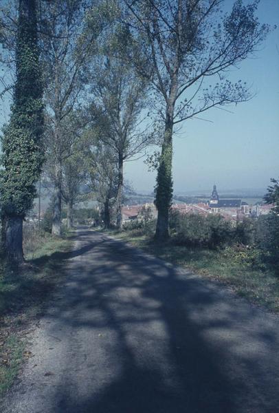 Vue éloignée sur le village et l'église