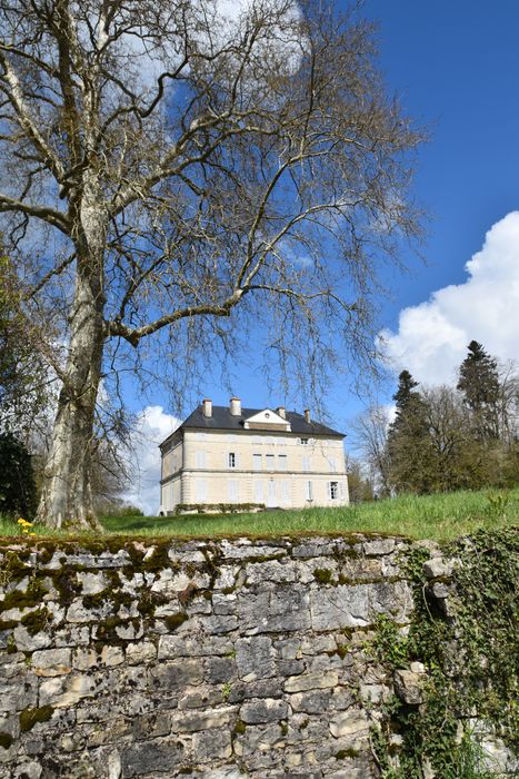 vue générale du château dans son environnement depuis le Sud