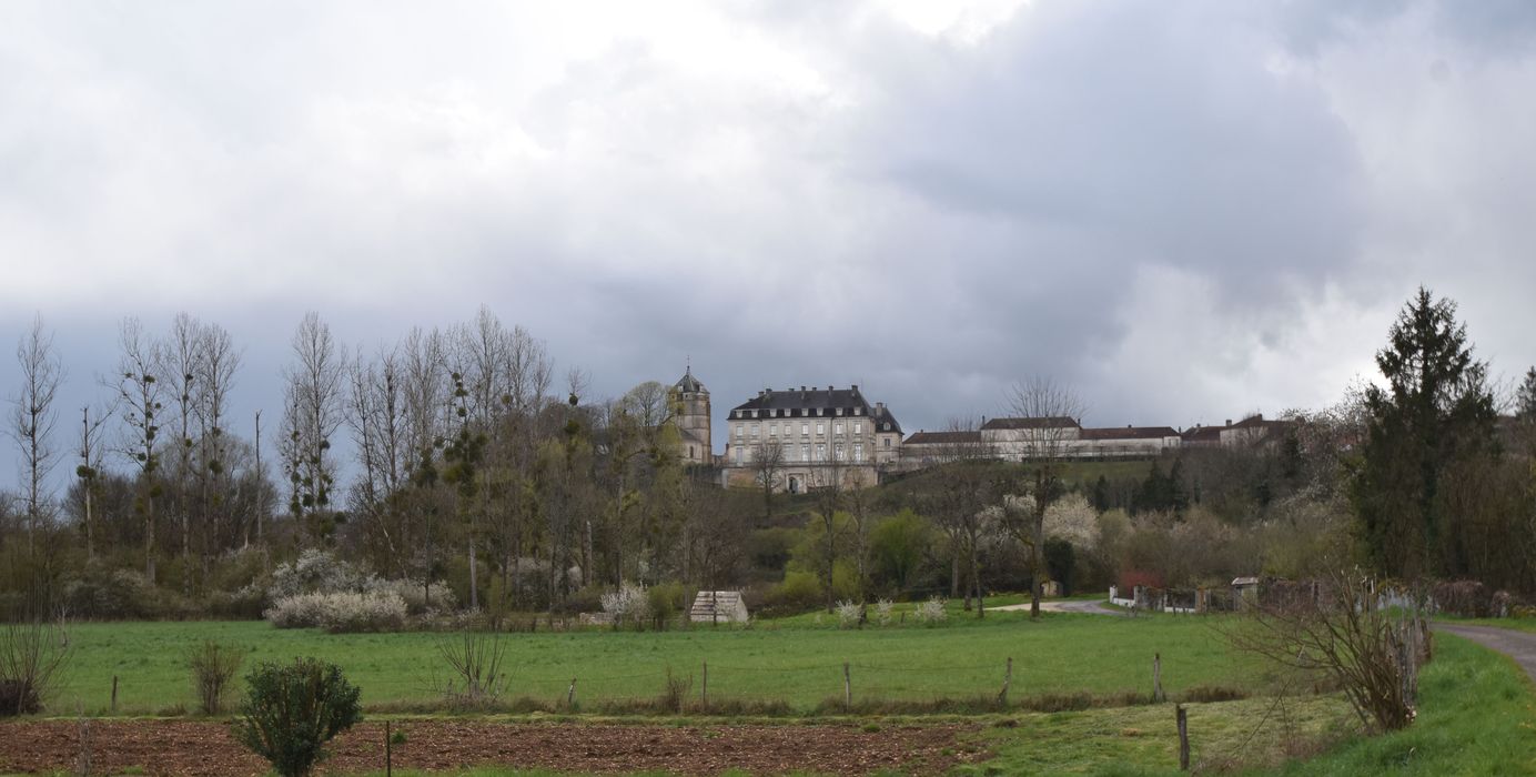 vue générale du château dans son environnement depuis le Nord