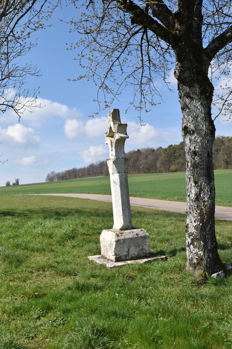 vue générale de la croix dans son environnement