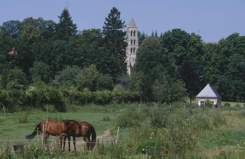 Clocher depuis un champ avec un cheval