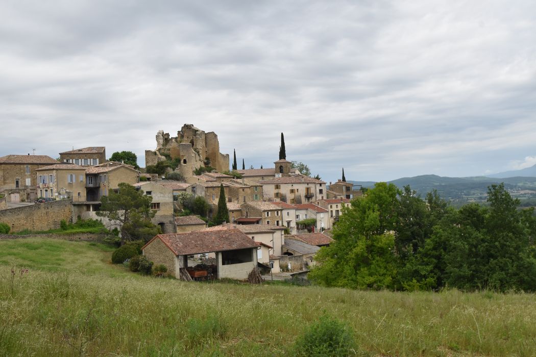 vue générale du château dans son environnement depuis le Sud