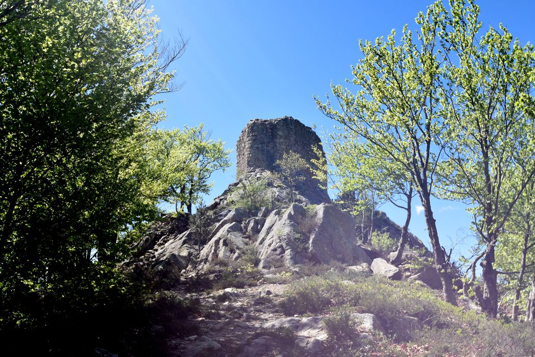 vue générale tour médiane dite Mitjana dans son environnement depuis le Nord