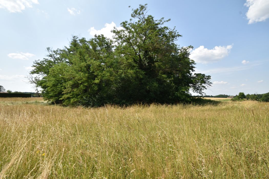 vue générale du site depuis la route de la Poype au Sud-Ouest