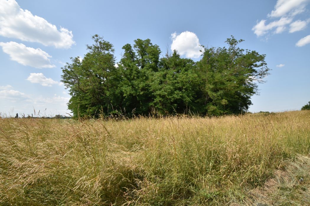 vue générale du site depuis la route de la Poype au Sud