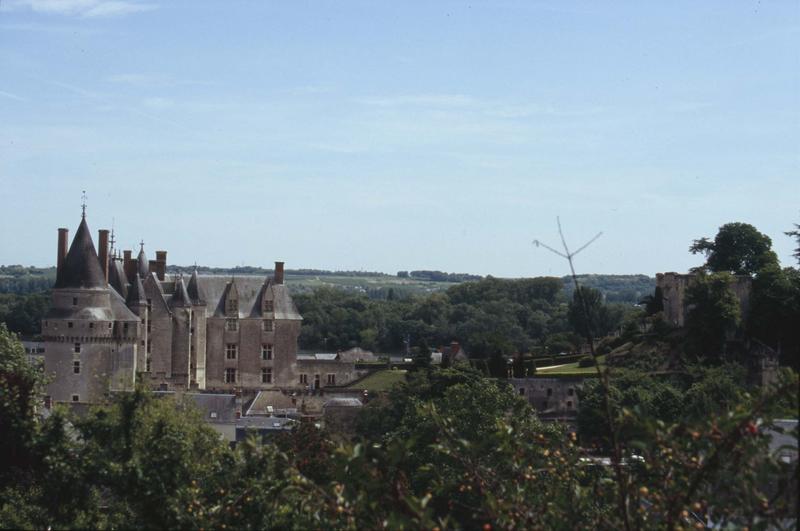 Ensemble du château et paysage environnant