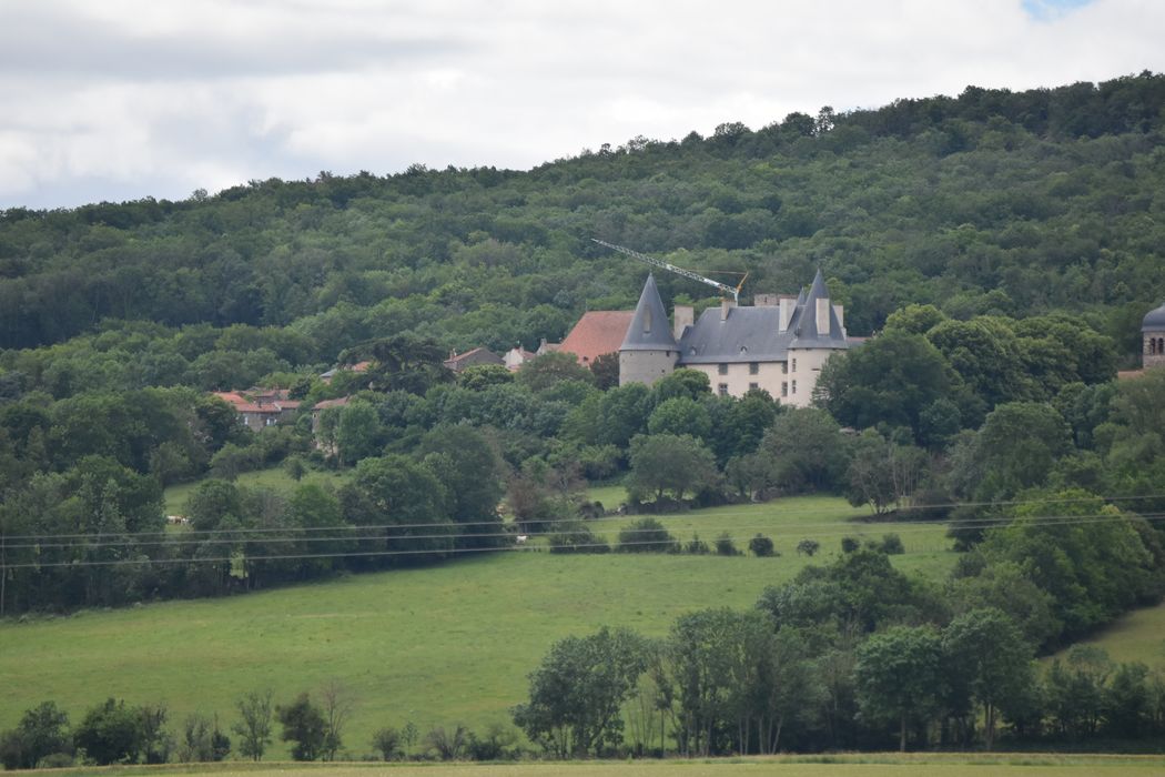 vue partielle du château dans son environnement depuis le Nord-Ouest