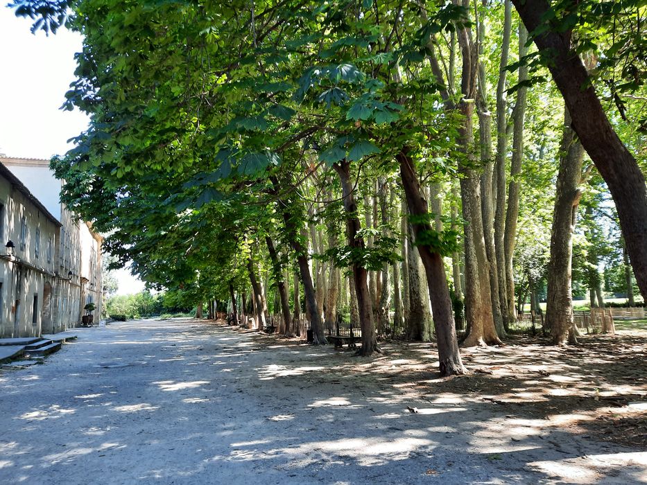 parc ouest, vue partielle