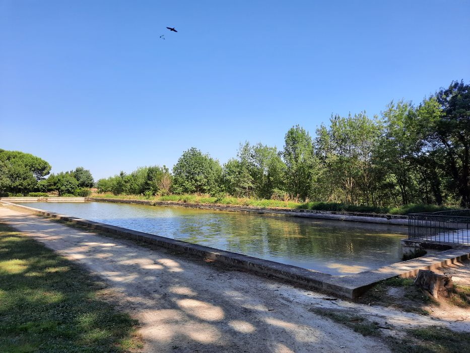 parc, grand bassin