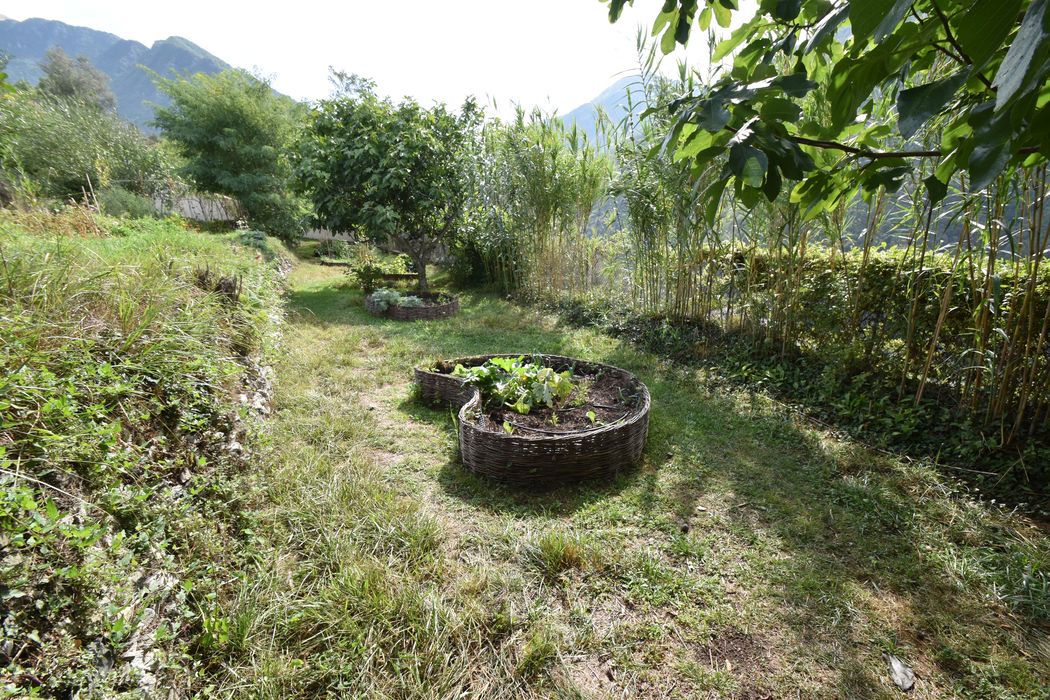 jardin, vue partielle