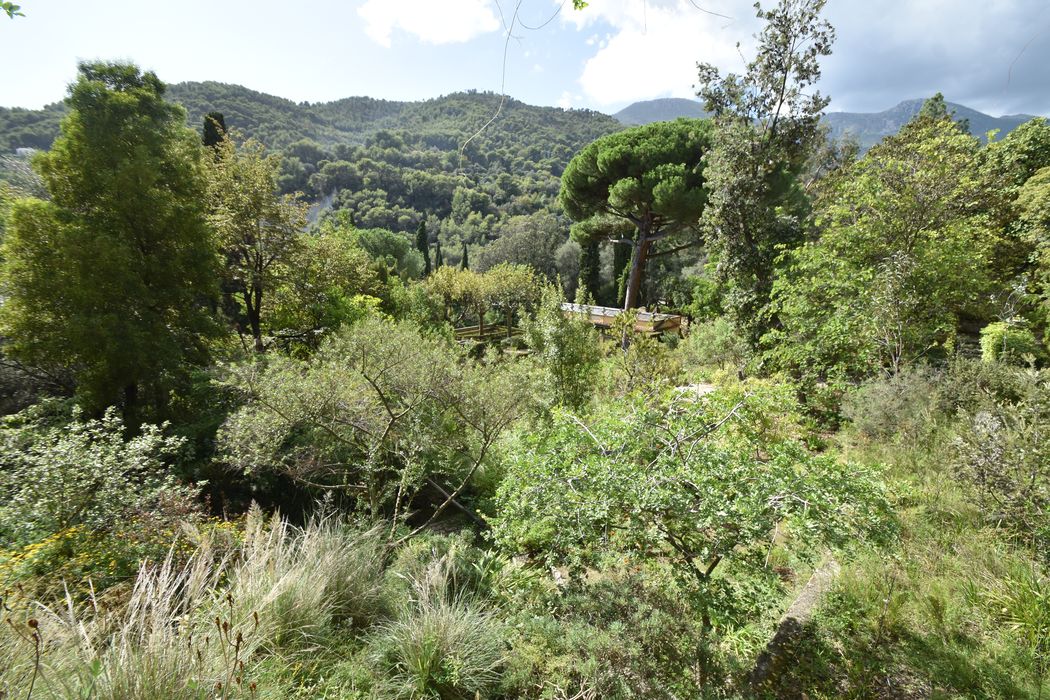 vue générale du jardin depuis la terrasse de la maison