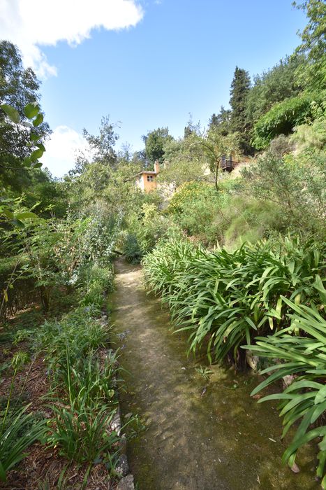 vue partielle du jardin