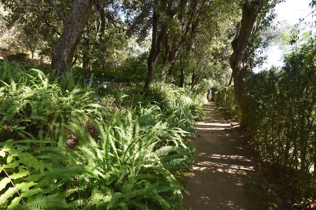 vue partielle du jardin