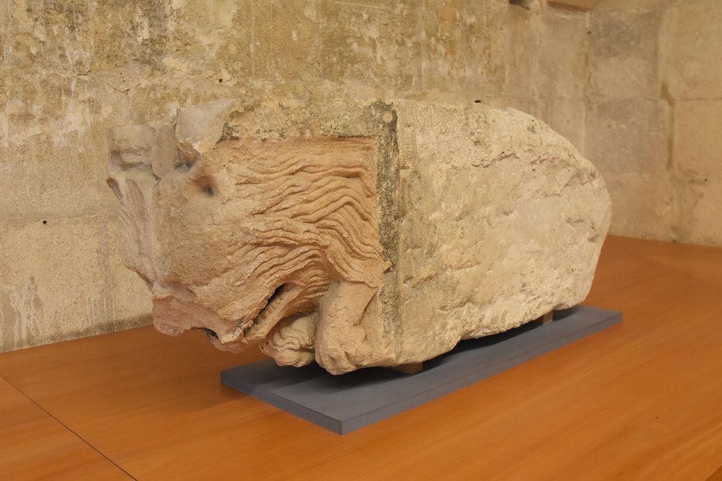 fragment lapidaire - © Ministère de la Culture (France), Médiathèque du patrimoine et de la photographie, diffusion GrandPalaisRmn Photo