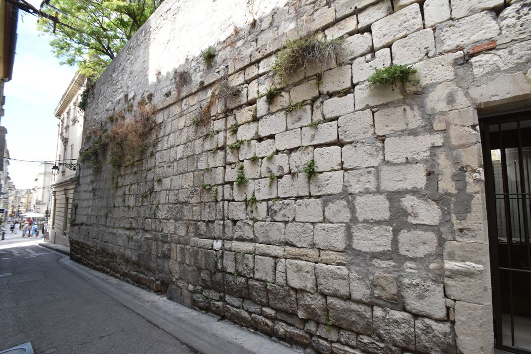 mur de clôture sud situé face au n°19 de la rue du cloître (ancienne rue des Capelans)