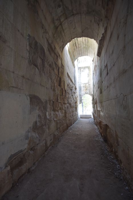 Vue partielle des vestiges du temple de Diane