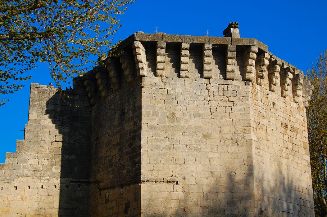 élévation sud-ouest, vue partielle