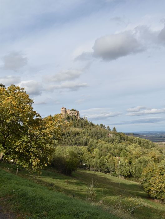 vue générale du château dans son environnement depuis le Sud