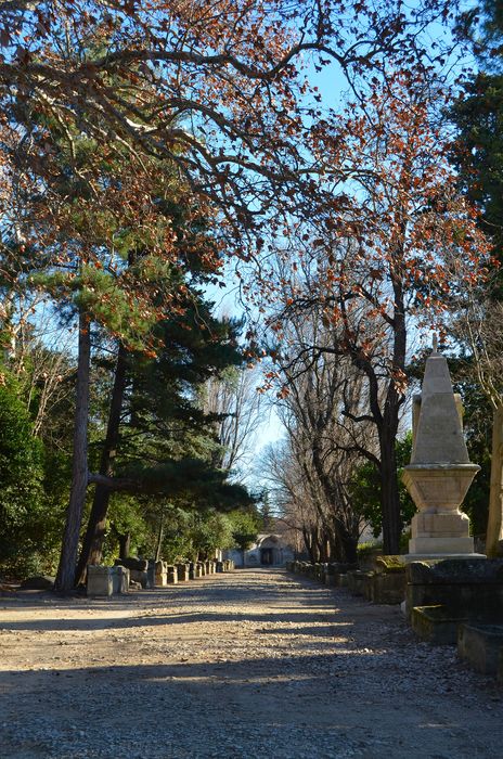 vue générale de l’allée en direction de l’Est