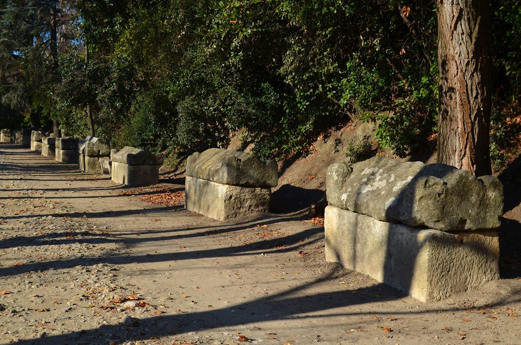 sarcophages bordant l’allée