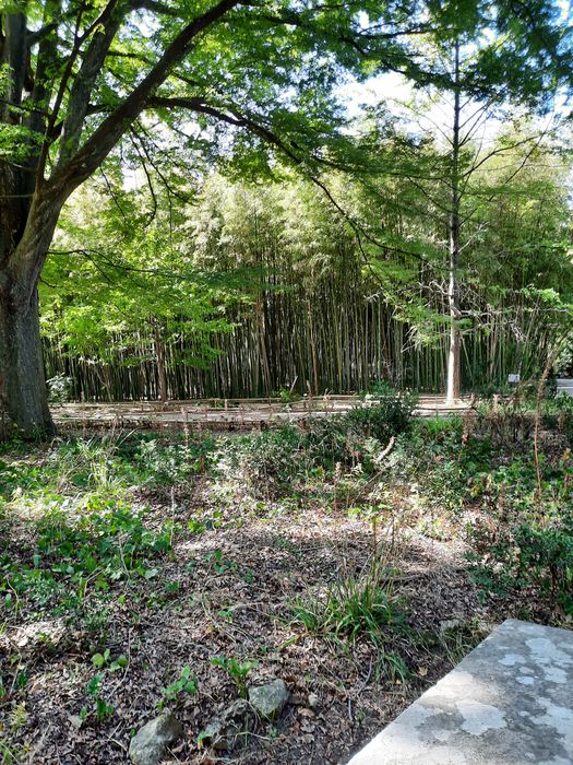 vue partielle du jardin