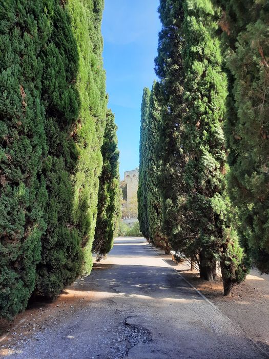 vue partielle du jardin